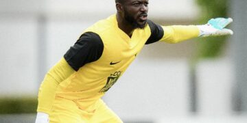 Le Havre AC vs SCO Angers – Pronostic et avis d&rsquo;expert
