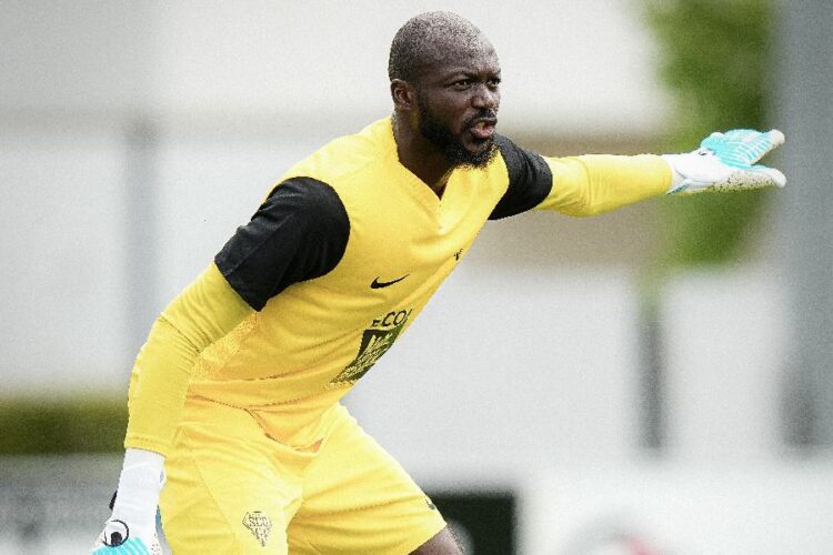 Le Havre AC vs SCO Angers – Pronostic et avis d’expert