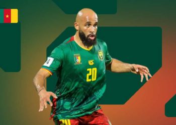 Les Lions Indomptables