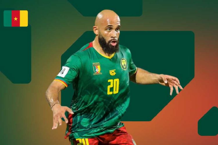 Les Lions Indomptables